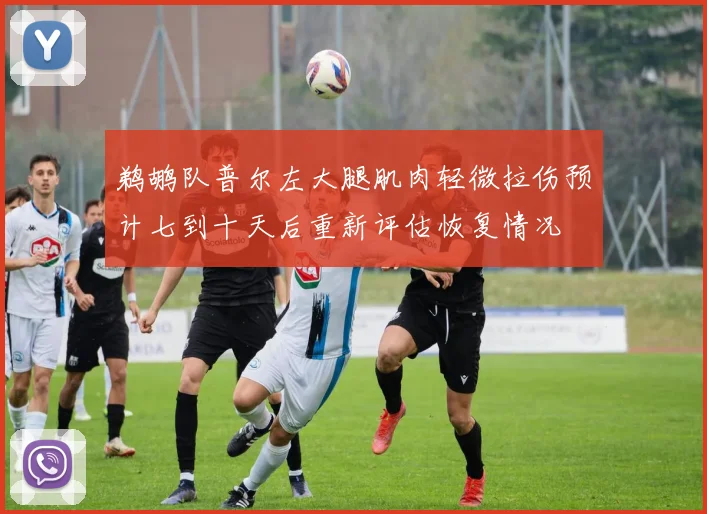 鹈鹕队普尔左大腿肌肉轻微拉伤预计七到十天后重新评估恢复情况